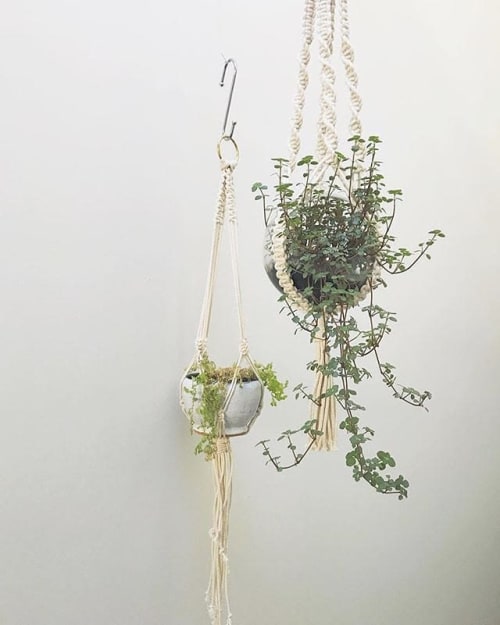 Chunky Plant Hanger | Macrame Wall Hanging by Macrababy