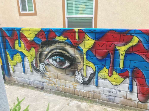 Eye Mural | Street Murals by Scottie Drippin' | House of Trestles in San Clemente