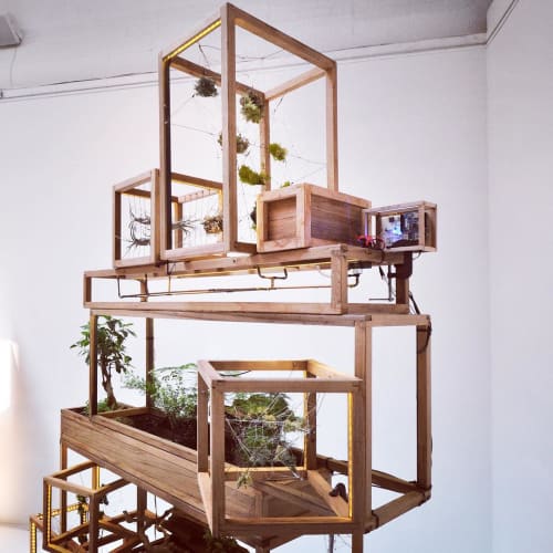 Sculptural Terrariums | Plants & Flowers by Plant-In City | Plant-in City Studio NYC in Brooklyn