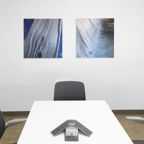 Divide Pole and Fallen Tree | Photography by John Boak | CoBank in Greenwood Village