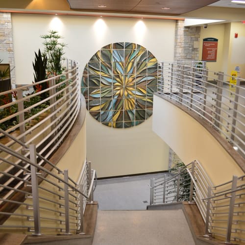 Large Mandala | Murals by Natalie Blake Studios | Memorial Medical Center in Springfield