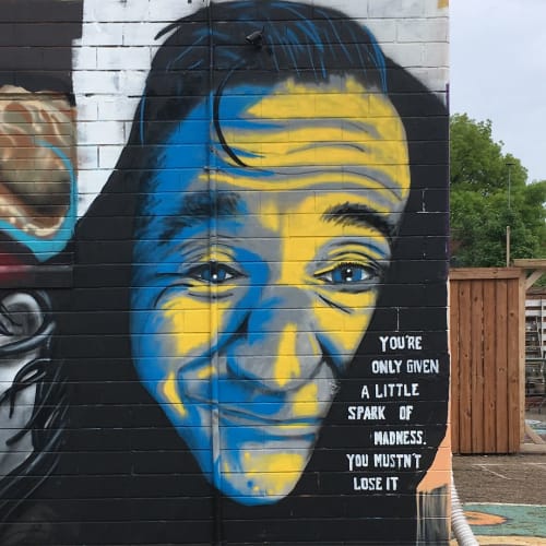 Robin Williams mural | Murals by Tim Carmany | The Hub Art Factory in Canton