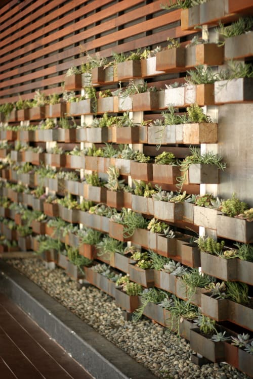 Living Wall Installation | Sculptures by Alexis Laurent | Chambers in San Francisco