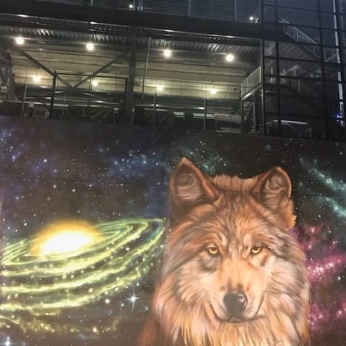 Mexican Grey Wolf Mural | Murals by Jesus "CIMI" Alvarado | El Paso Convention And Performing Art Center in El Paso