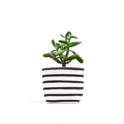 Black Stripe Canvas Planter | Vases & Vessels by Gray Green Goods