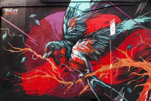 The  Swallow aka Save Our Souls | Street Murals by David ‘MEGGS’ Hooke