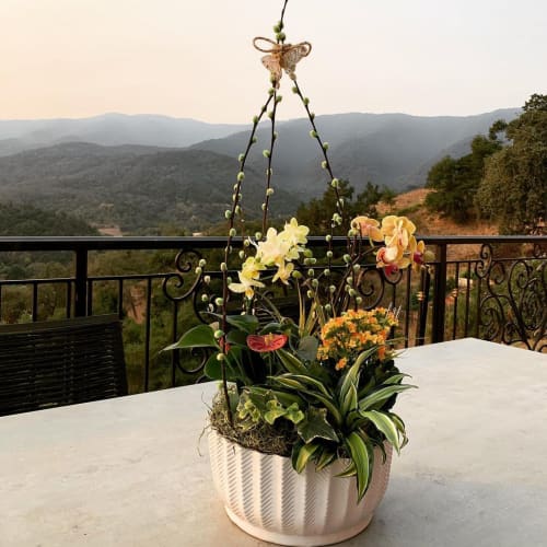 Orchid Arrangement | Floral Arrangements by Fleurina Designs