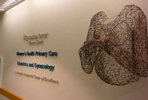Wire Sculpture | Sculptures by Kristine Mays | UCSF Women's Health Center in San Francisco