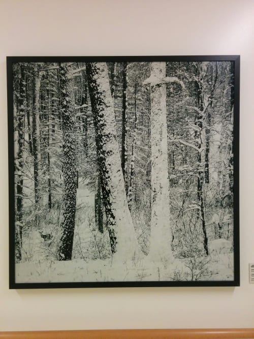 Large Snowy Forest | Art & Wall Decor by James Chronister | Zuckerberg San Francisco General Hospital and Trauma Center in San Francisco