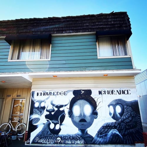 Knowledge > Ignorance Mural | Street Murals by WHOSVLAD | PlayNice, LLC in Brooklyn