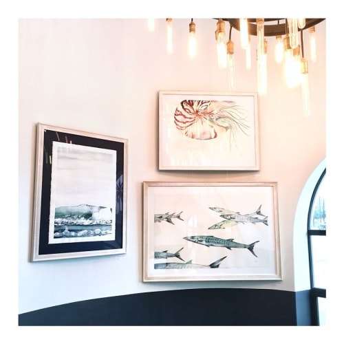 Marine Life Paintings | Paintings by Kelly Clause | Bluewater Grill in Santa Barbara