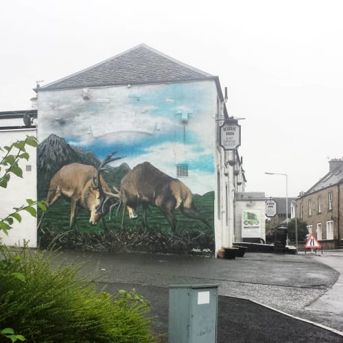 Fighting Stags | Street Murals by Rogueoner | The Kirk Inn in Kirkcaldy