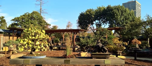 Explore The Gardens At Lake Merritt Design And Art Wescover