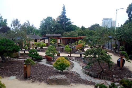 Explore The Gardens At Lake Merritt Design And Art Wescover