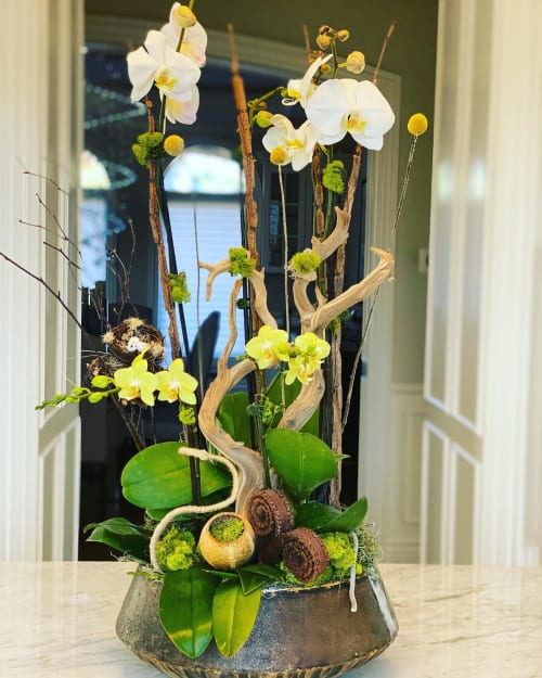 Orchids with Driftwood | Floral Arrangements by Fleurina Designs