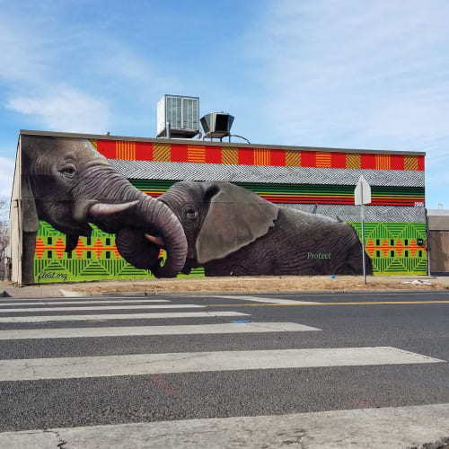 Elephants | Street Murals by Patrick Kane McGregor