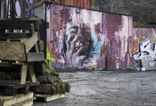 Graffiti Wall Art Wescover