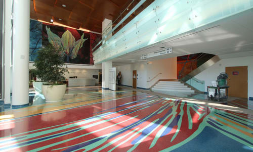 Nature Of Medicine Floor Art By Rupert Garcia Seen At Zuckerberg