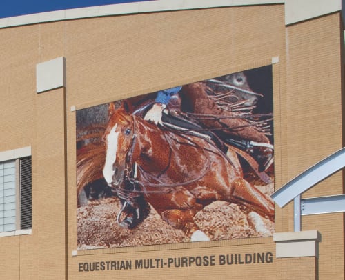 “Cutting Horse” on of seven murals for Equestrian Multi-Purpose Building | Public Mosaics by Mike Mandel | Will Rogers Memorial Center, Fort Worth, TX in Fort Worth