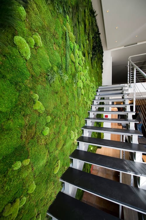 Moss Wall | Plants & Flowers by Harvest to Home | Costa Mesa, CA in Costa Mesa
