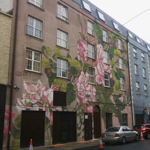 Flowers | Street Murals by Lula Goce | Dooley's Hotel Waterford in Waterford