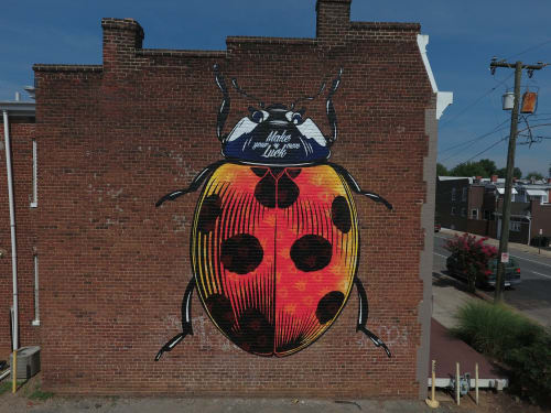 Make Your Own Luck (Ladybug) | Murals by ASVP | Riggs Ward Design LC in Richmond