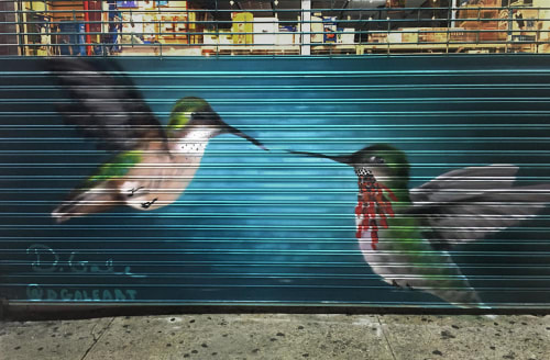 Calliope Hummingbird | Murals by Kristy McCarthy | Apollo Pharmacy in New York