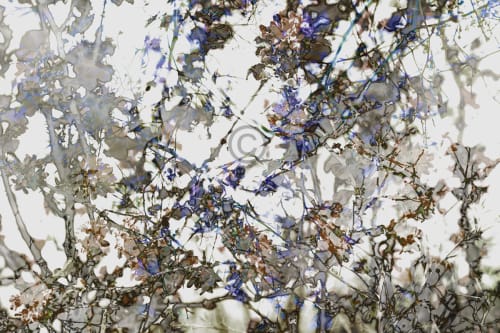 RicaBelna_Comp_803_L | Prints by Rica Belna | JW Marriott Miami in Miami