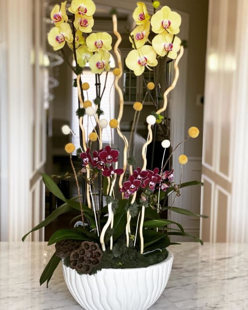 Orchids and Dried Craspedia | Floral Arrangements by Fleurina Designs