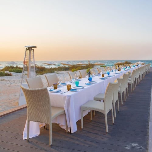 Sunny Beach Dining Chairs | Chairs by Rausch International