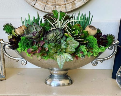 Succulent Arrangement | Floral Arrangements by Fleurina Designs
