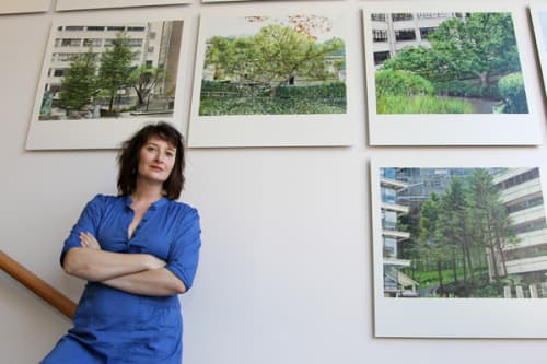 The Forest of Parnassus | Paintings by Ellen Harvey | UCSF, Parnassus Avenue in San Francisco