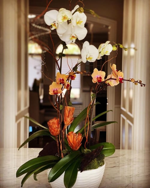 Orchid Design | Floral Arrangements by Fleurina Designs