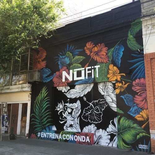 Mural | Street Murals by Medianeras > murales | NUFIT in Rosario