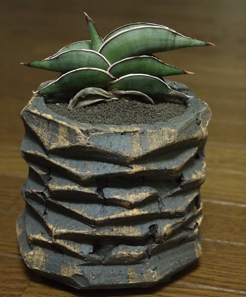 Shigaraki bowl | Vases & Vessels by COM WORK STUDIO | Tula Plants & Design in Brooklyn