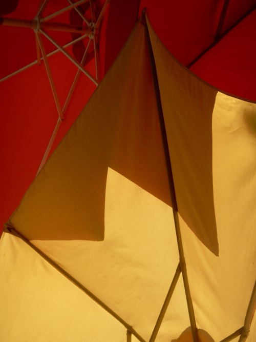 Umbrellas | Art & Wall Decor by Guy John Cavalli | Sandra, Big Oak Flats, California in Groveland