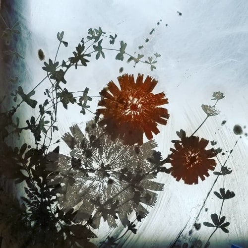 Floral Painting | Paintings by Cara Enteles Studio | Boulder JCC (Boulder Jewish Community Center) in Boulder