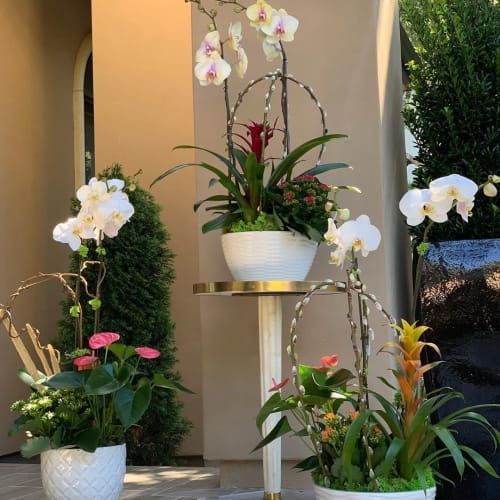 Spring Flower Arrangements | Floral Arrangements by Fleurina Designs