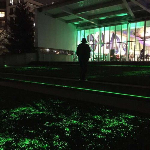 Greener | Lighting by Iole Alessandrini | Olympic Sculpture Park in Seattle