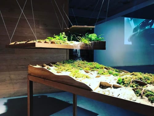 Floating Landscapes and Rolling Fog | Plants & Flowers by Plant-In City | Next Level in Brooklyn