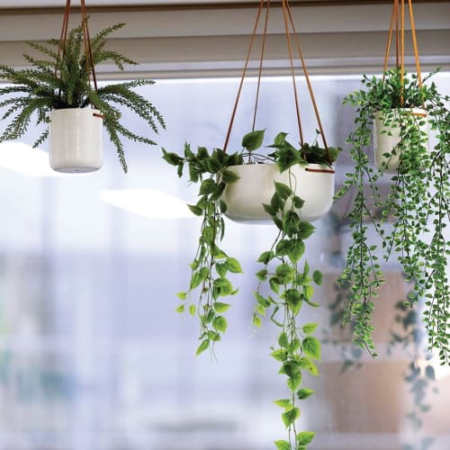 Hanging Planter Large and Medium White | Vases & Vessels by Lightly Pty Ltd | Benestar Group (formerly Davidson Trahaire Corpsych [DTC]) in Sydney