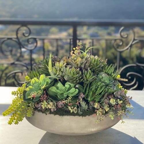 Succulent Arrangement | Floral Arrangements by Fleurina Designs