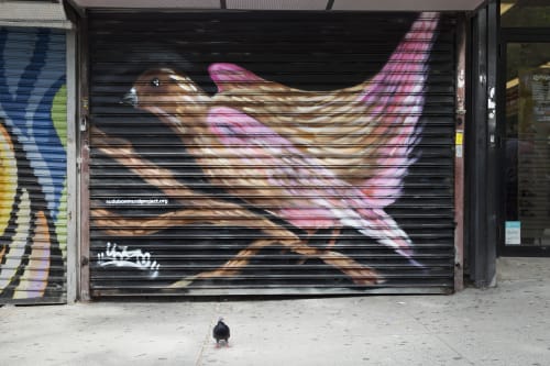 Brown-capped Rosy-Finch | Murals by Yazmeen Collazo | Sexy Nails, 3803 Broadway in New York