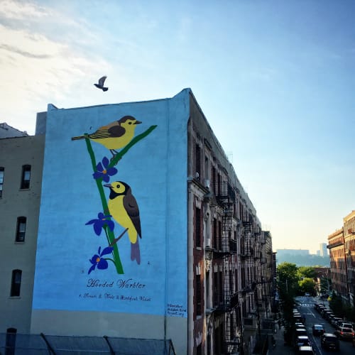 Hooded Warbler | Street Murals by Geraluz | 522 W. 147th St, New York in New York