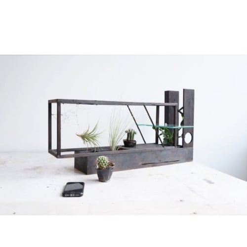 Modular Terrariums | Plants & Flowers by Plant-In City | Plant-in City Studio NYC in Brooklyn