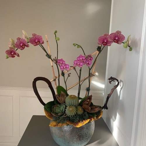 Vibrant Orchid Arrangement | Floral Arrangements by Fleurina Designs | LUNA Mexican Kitchen - The Alameda in San Jose