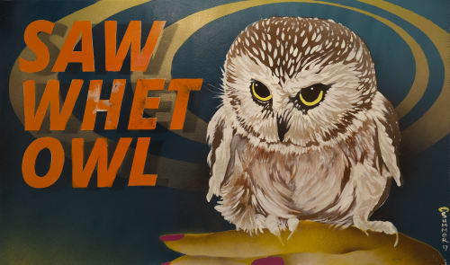 Northern Saw-whet Owl | Street Murals by Summer McClinton | 3740 Broadway, New York in New York