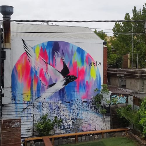 Cosmic Flight | Street Murals by Yvette Vexta | Juddy Roller Studios in Fitzroy