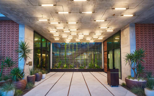 Harp Chandelier | Chandeliers by Neptune Glassworks | South Congress Hotel in Austin