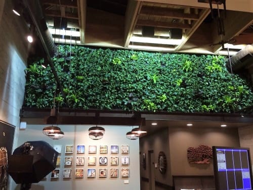 Living Wall | Plants & Flowers by Habitat Horticulture | Peet's Coffee in San Francisco